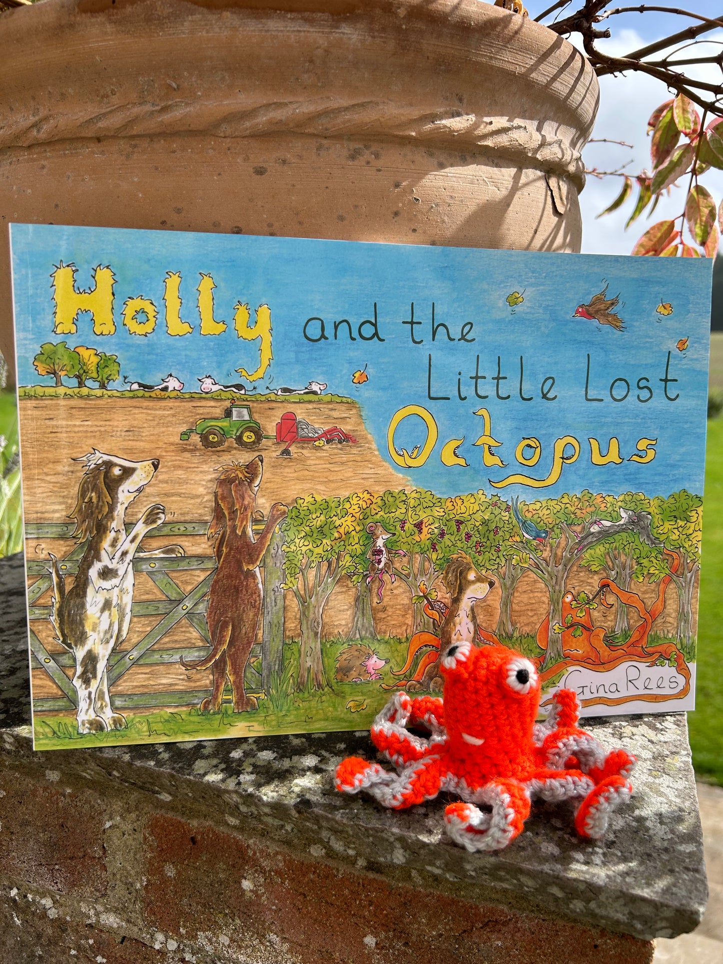 Holly and the Little Lost Octopus