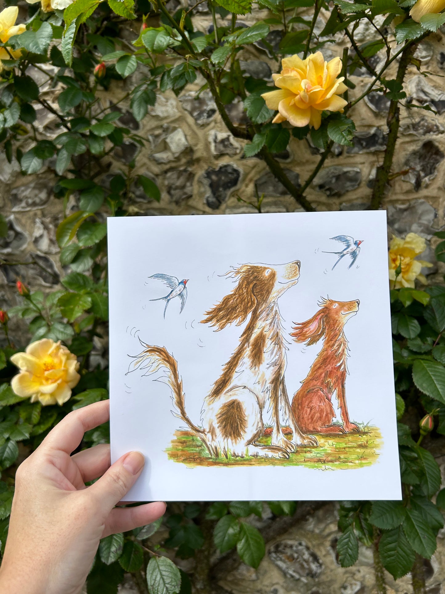 Print of Dogs with Swallows - 210mm square picture