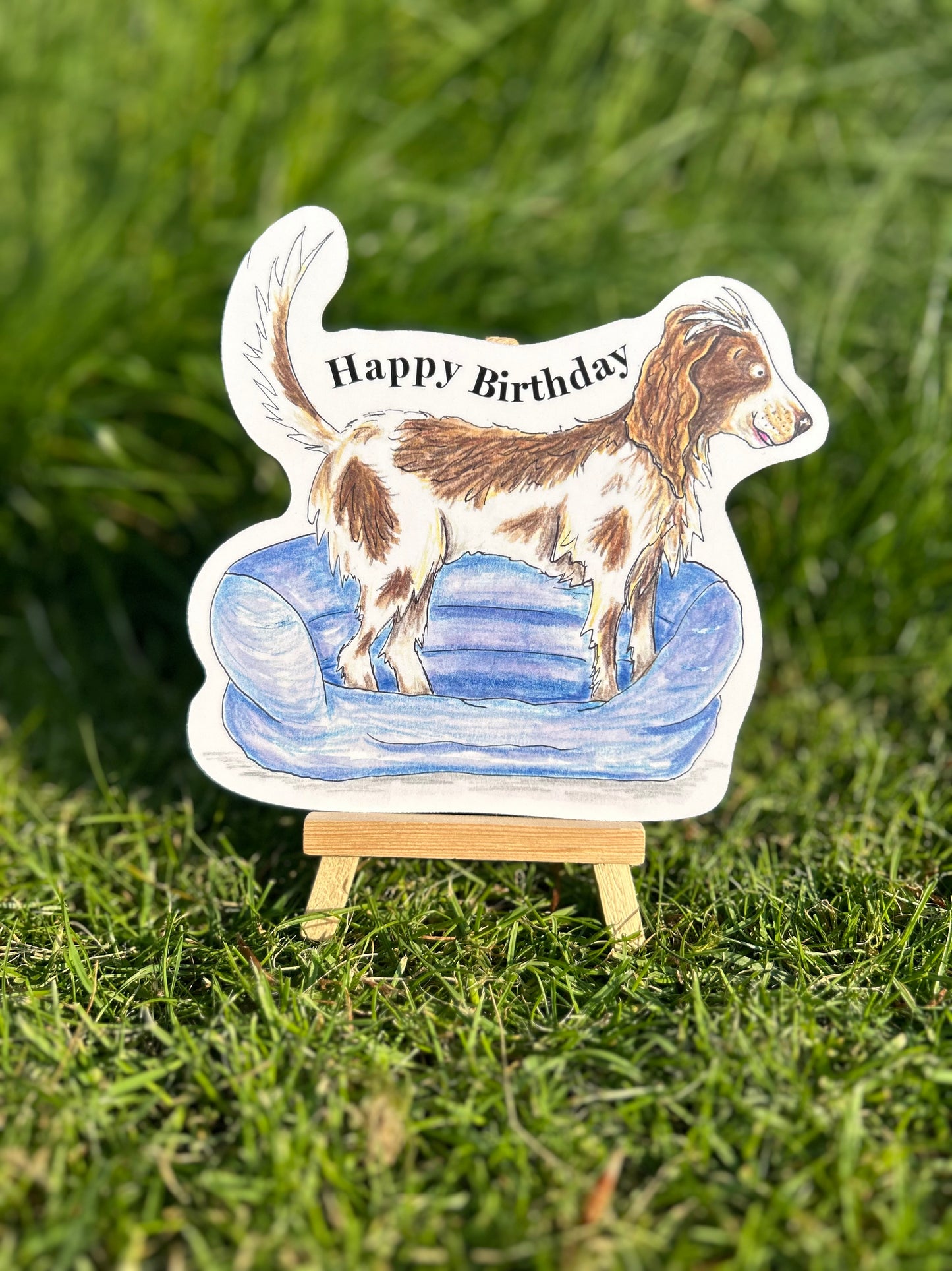 Happy Birthday spaniel card