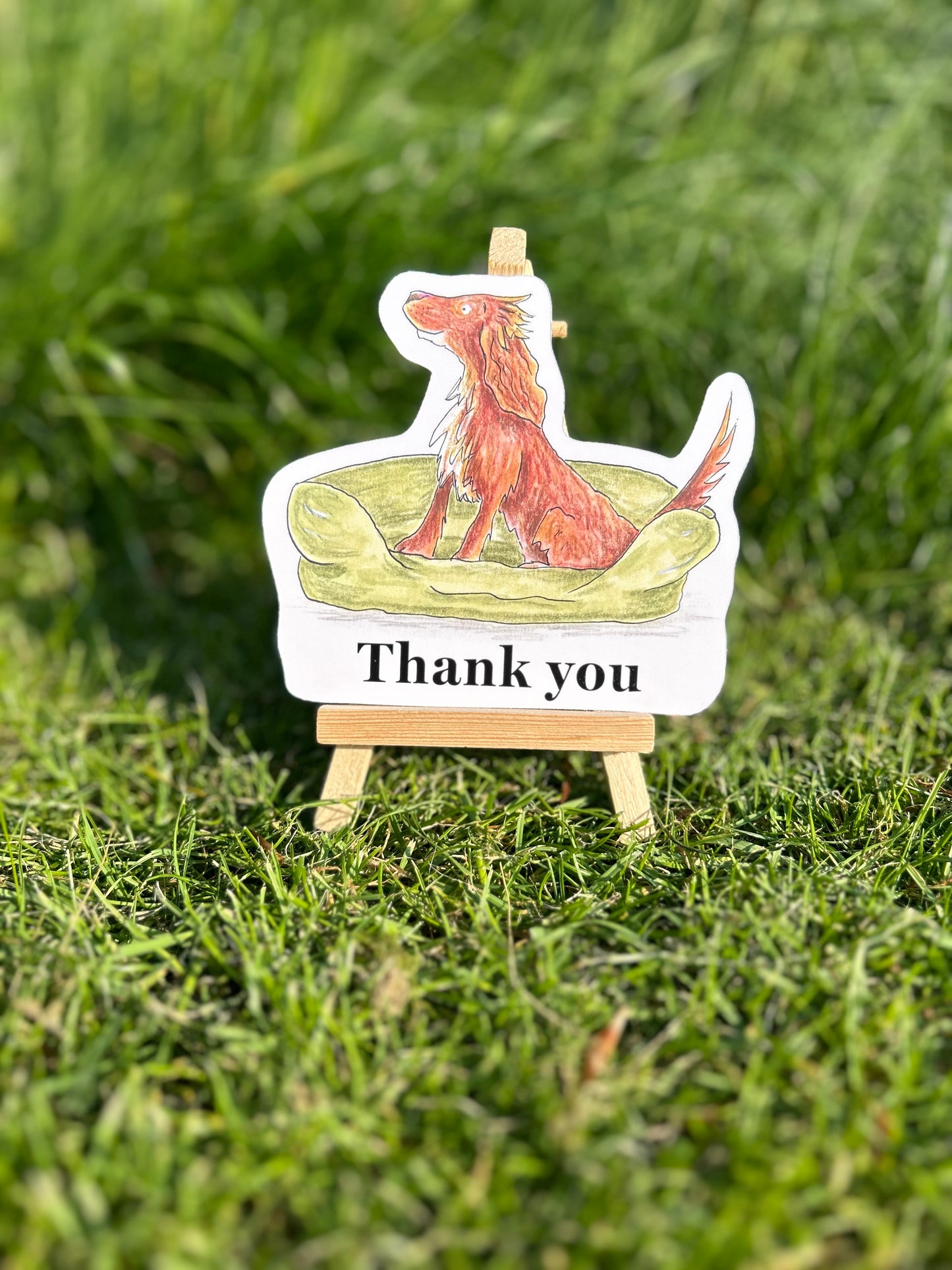 A6 thank you postcard with small spaniel
