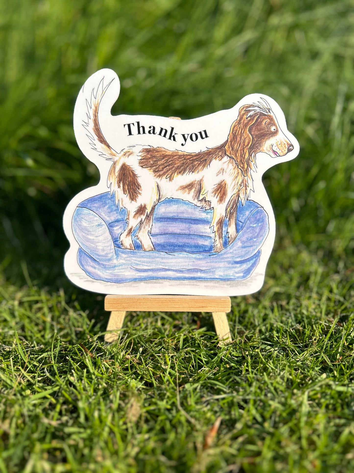 Spaniel thank you card
