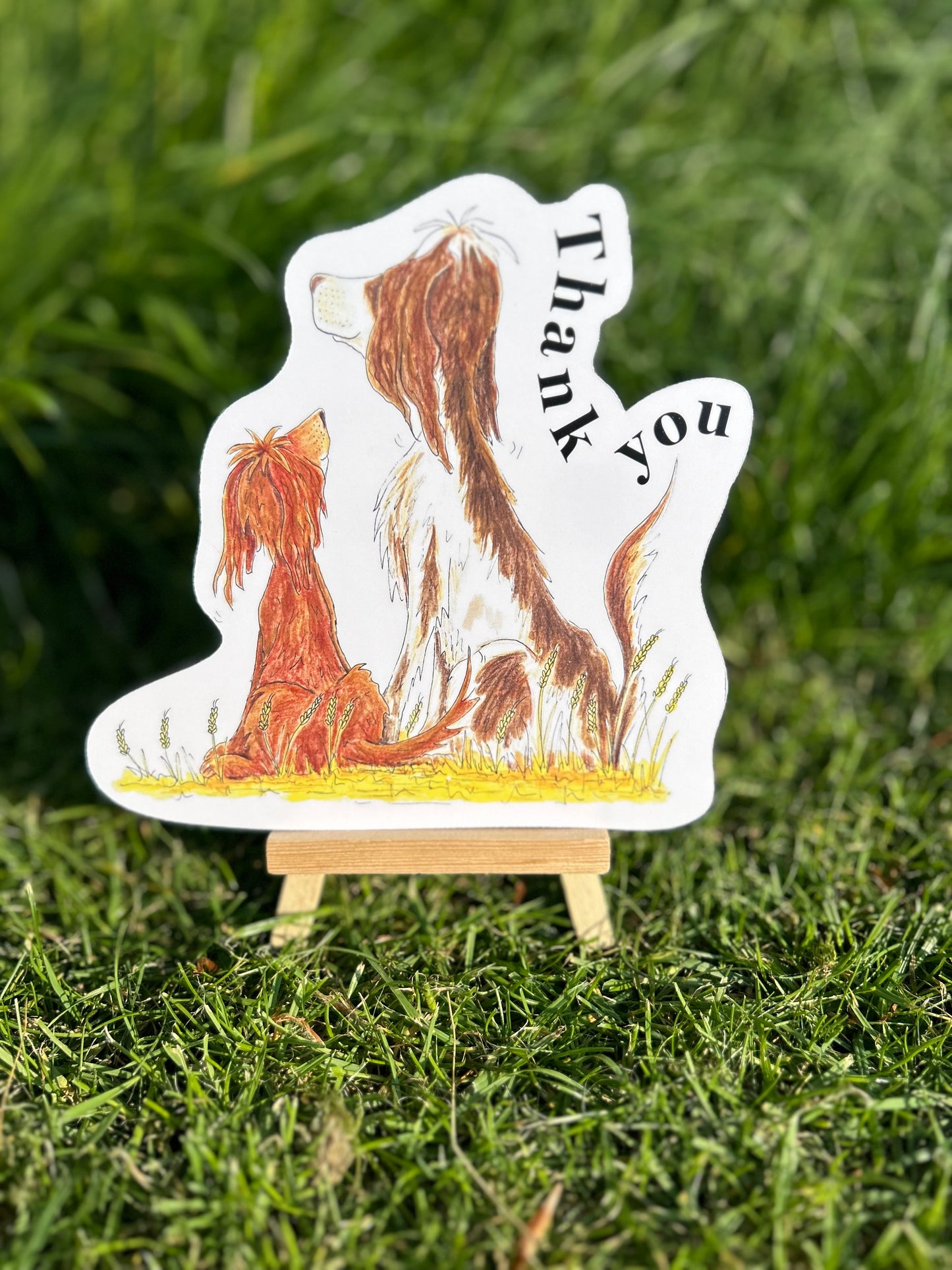 Thank you card with 2 spaniels