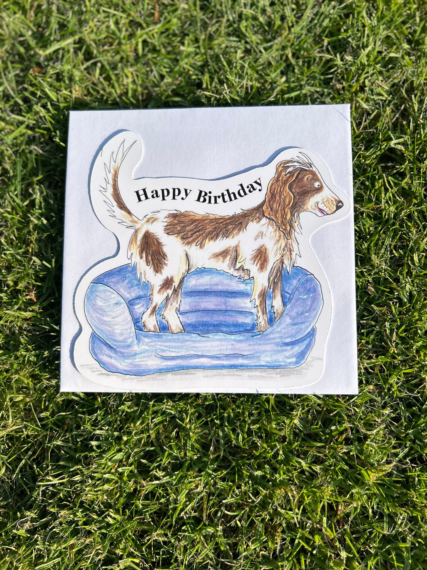 Happy Birthday spaniel card