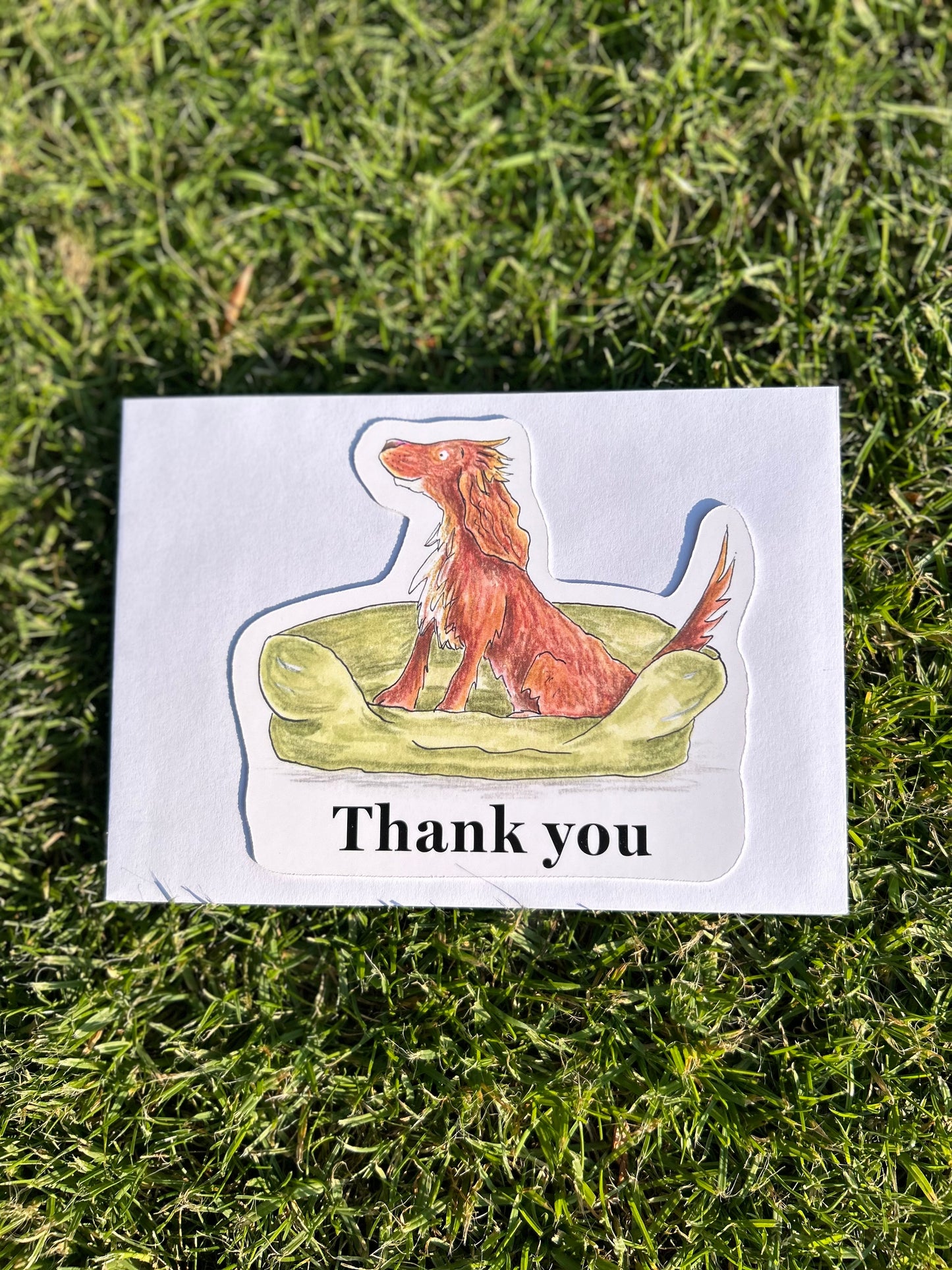 A6 thank you postcard with small spaniel