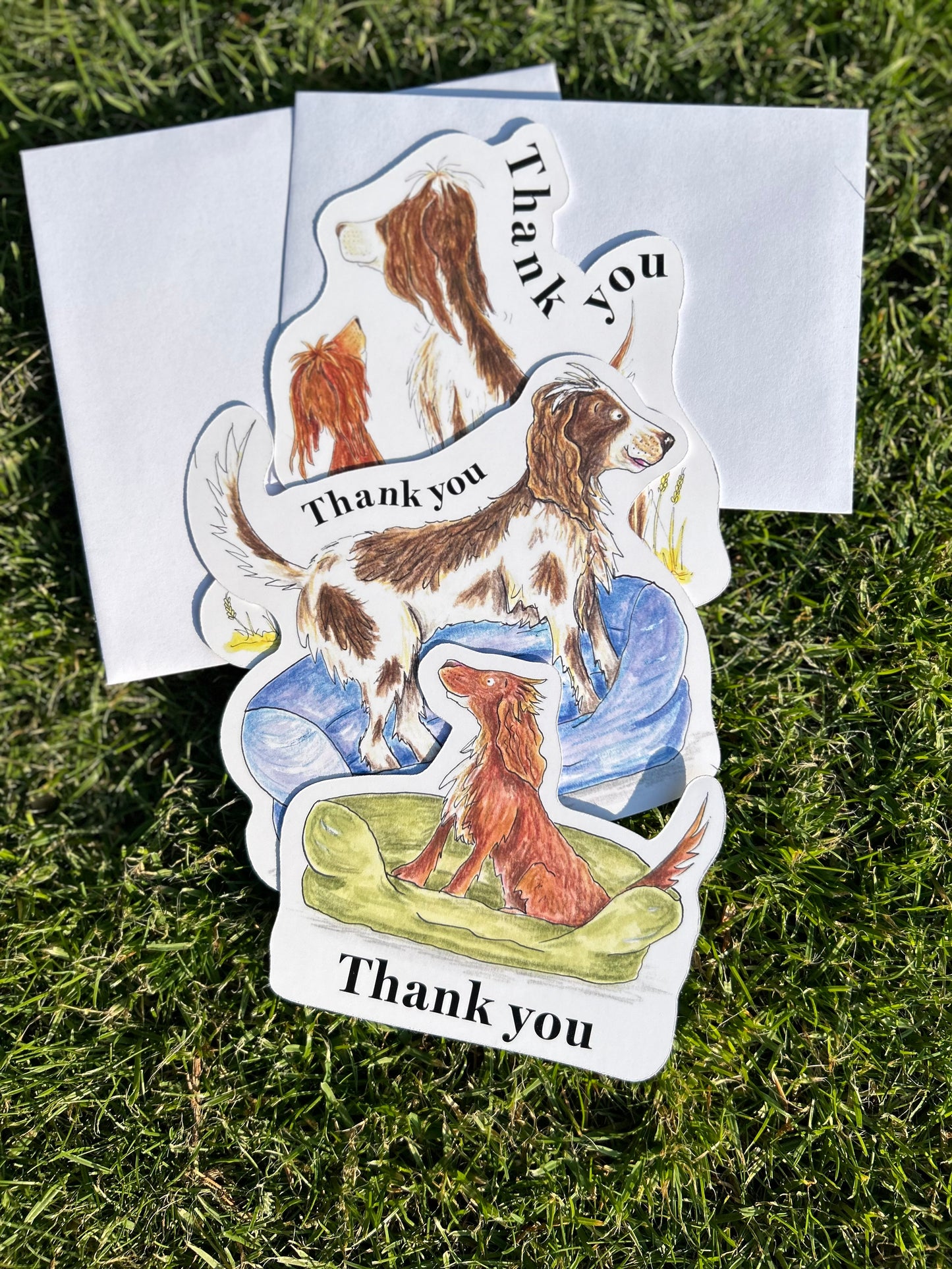 Pack of Spaniel thank you cards