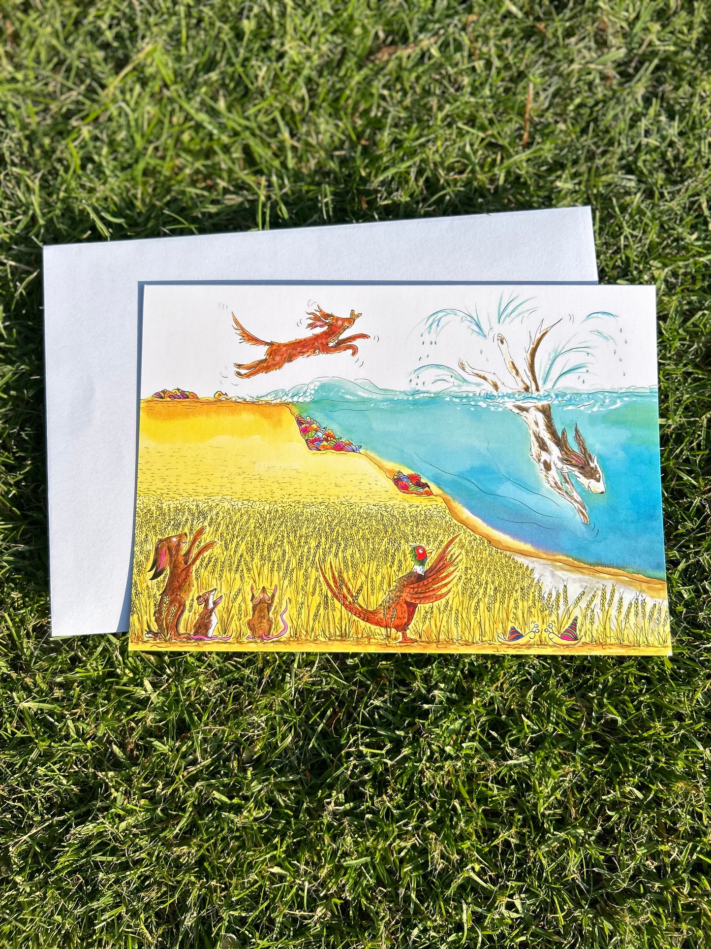 A5 CARD of Dogs diving into the ocean - from 'My Special Place'