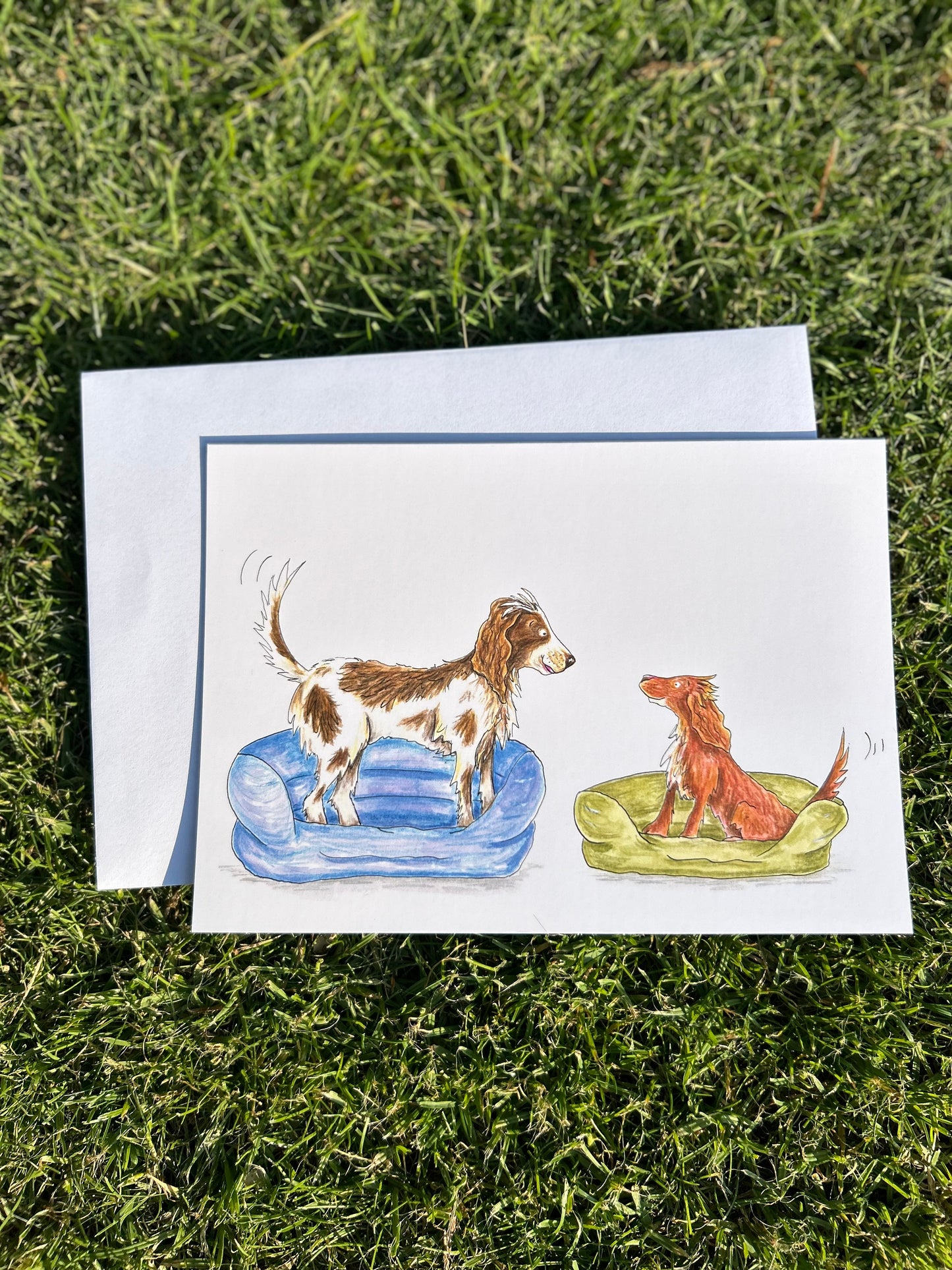 A5 CARD of Dogs in their beds - artwork taken from 'My Special Place'