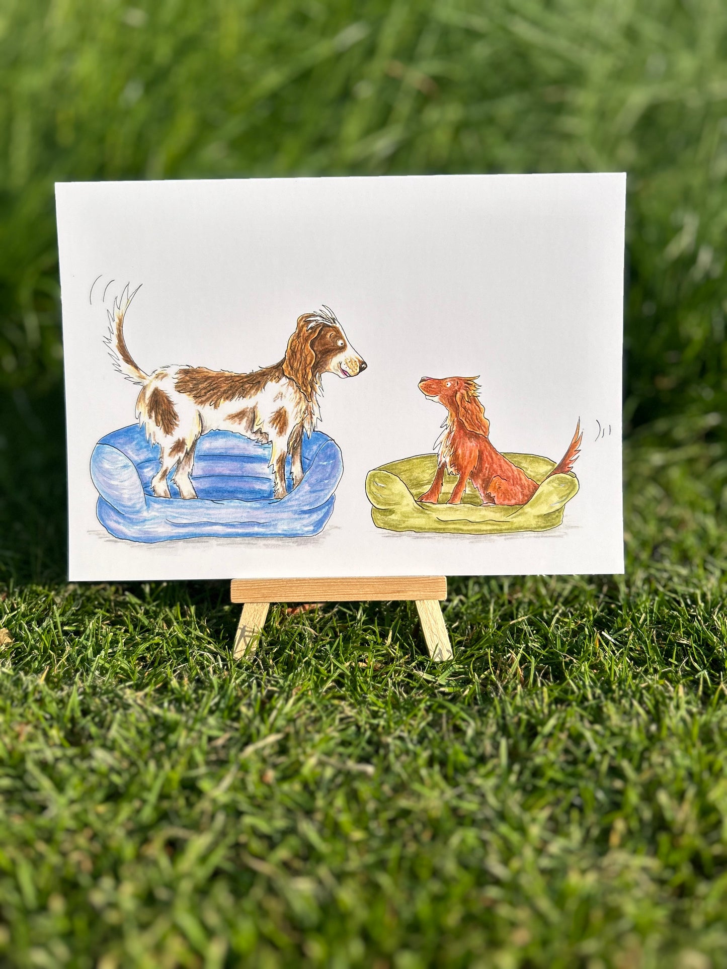 A5 CARD of Dogs in their beds - artwork taken from 'My Special Place'