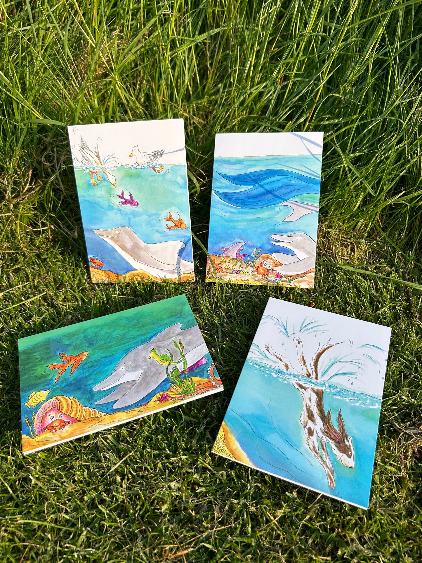 A6 CARDS, PACK OF 4 ocean theme