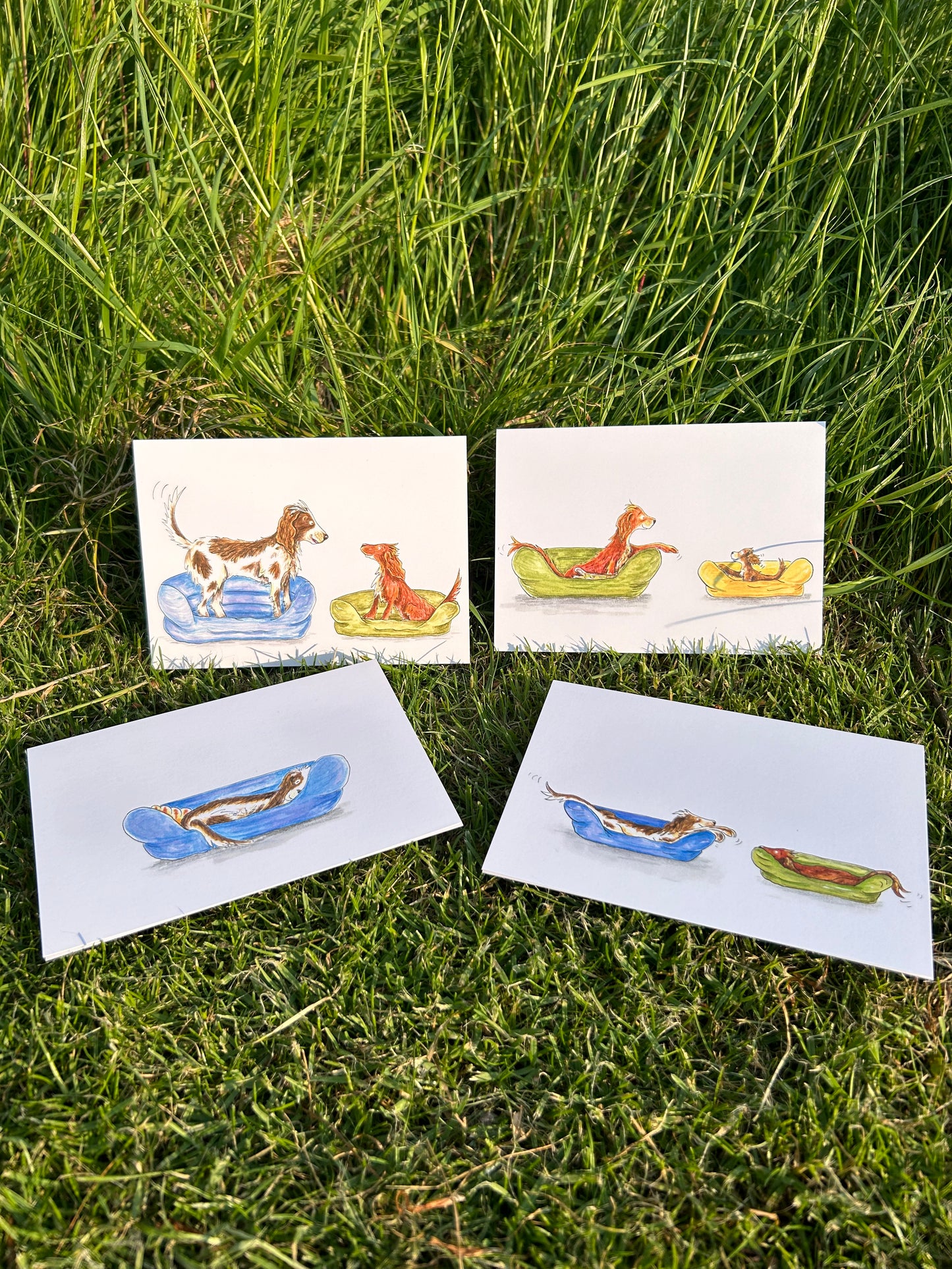 A6 CARDS, PACK OF 4 Dogs in beds