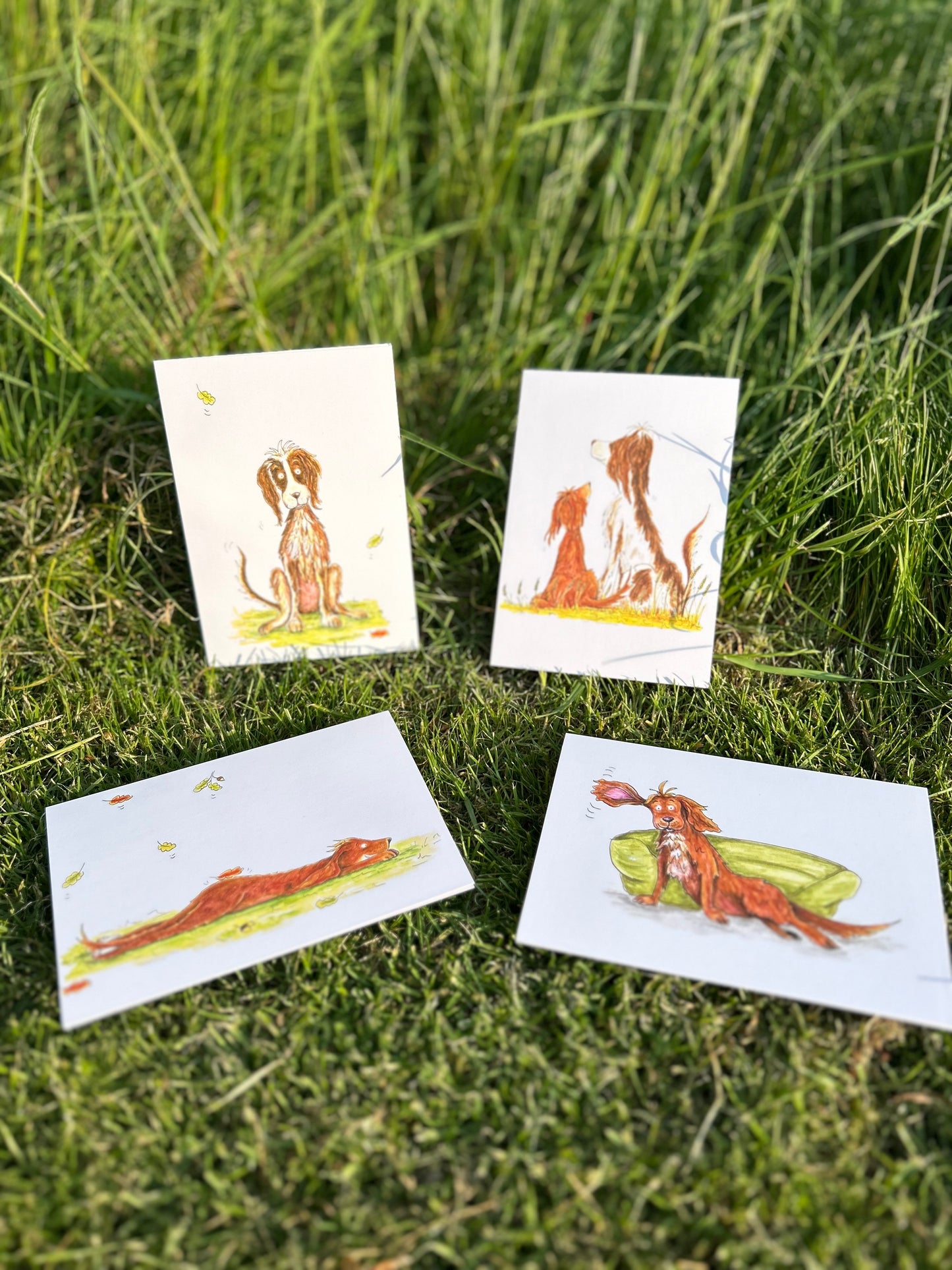 A6 CARDS, PACK OF 4 spaniel theme