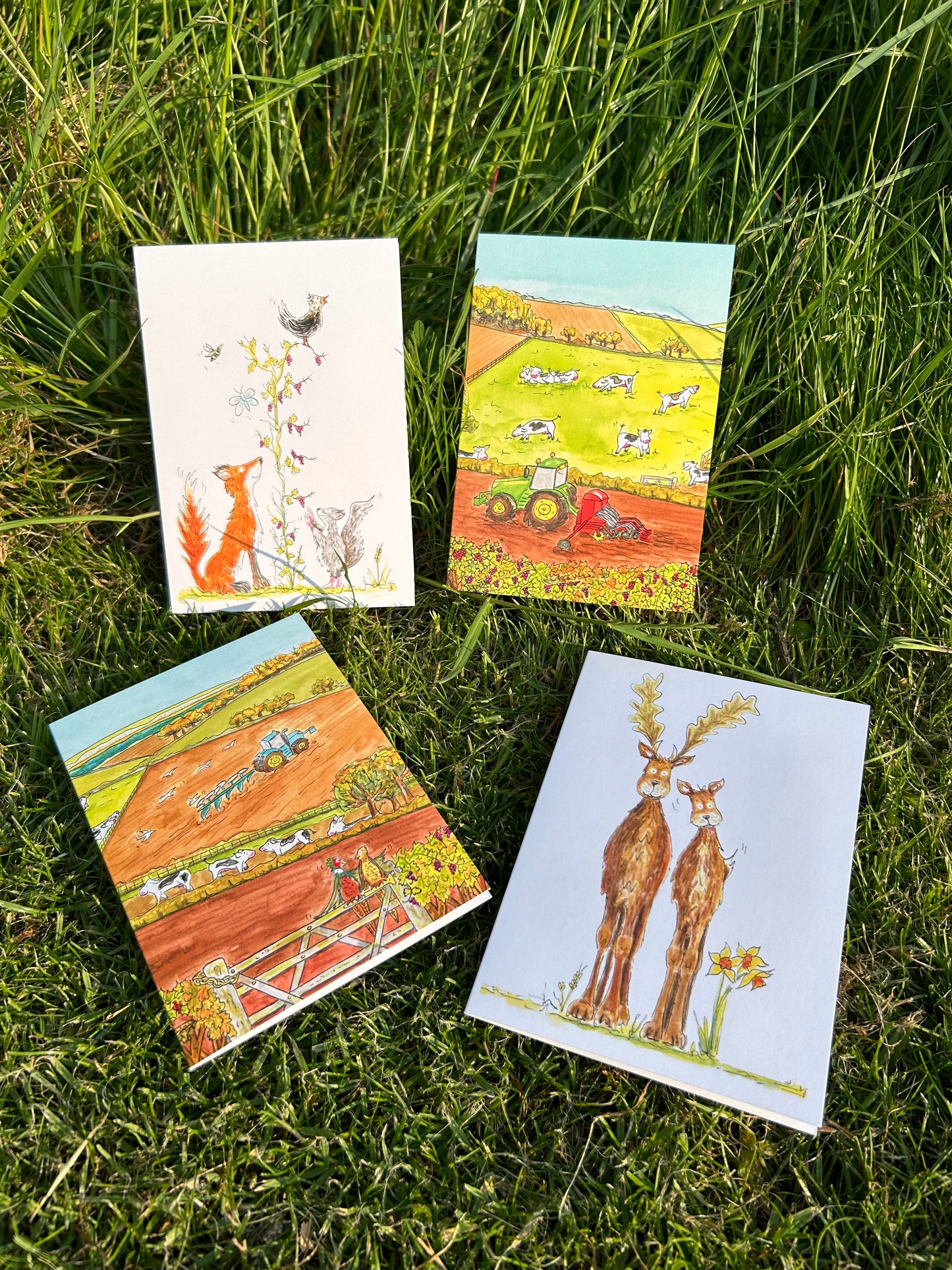 A6 CARDS, PACK OF 4 country and farm theme