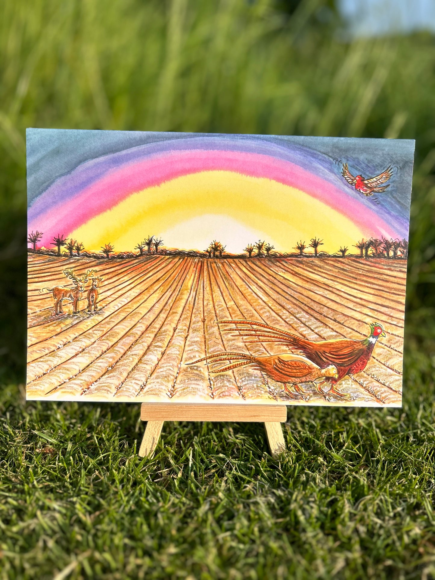 A5 CARD, sunrise on a winter morning