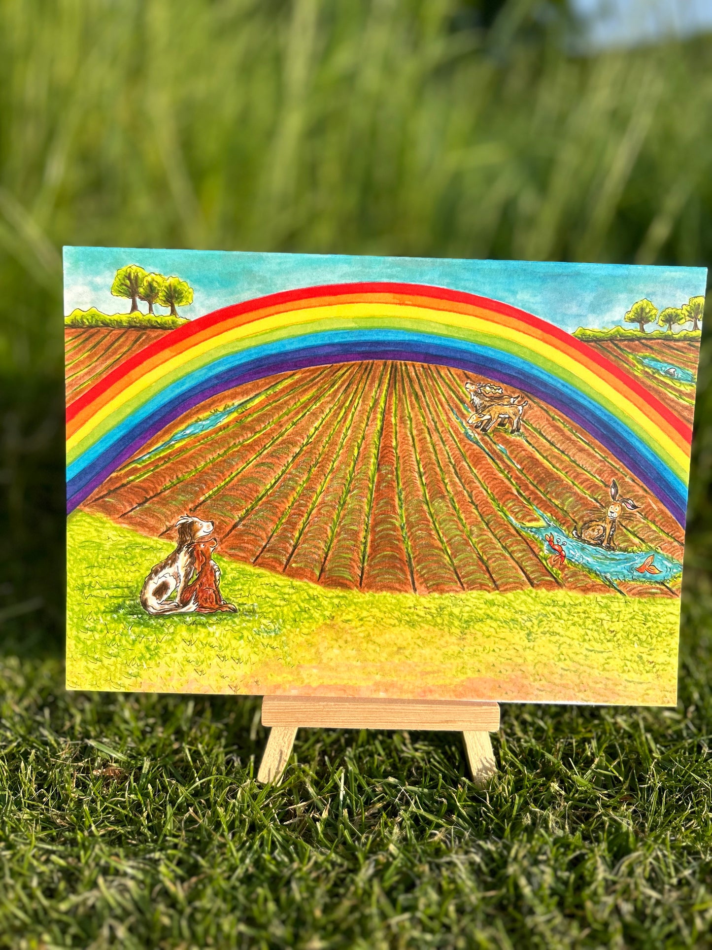 A5 CARD of a Rainbow in a Spring Field - artwork taken from 'My Special Place'