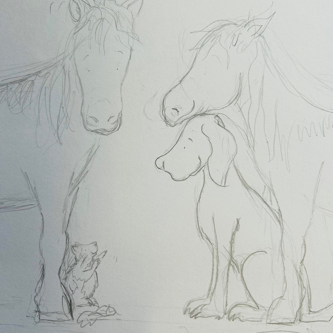 Horse sketch