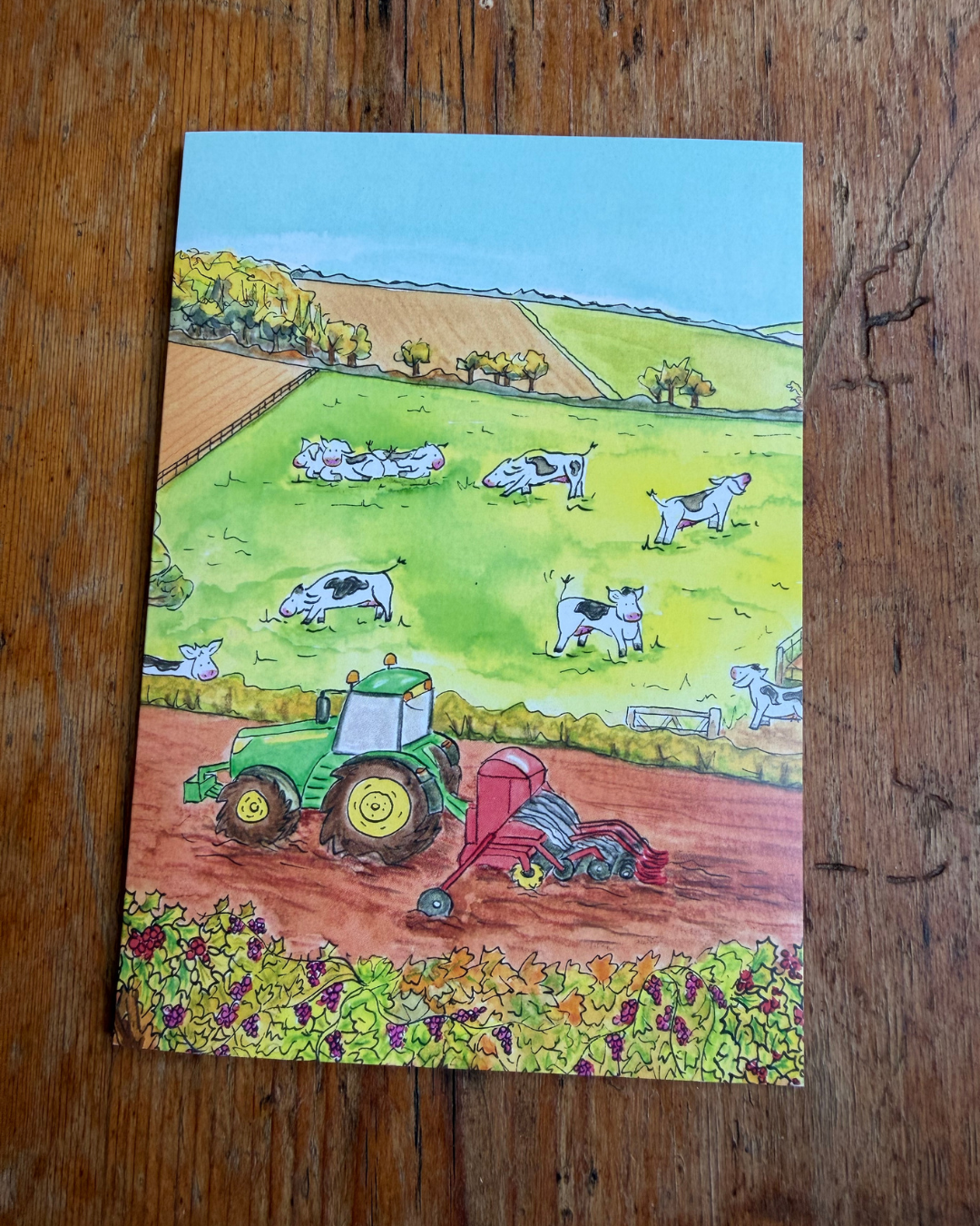 My Special Place Farm Yard A6 Greeting Card Collection - Set of 4