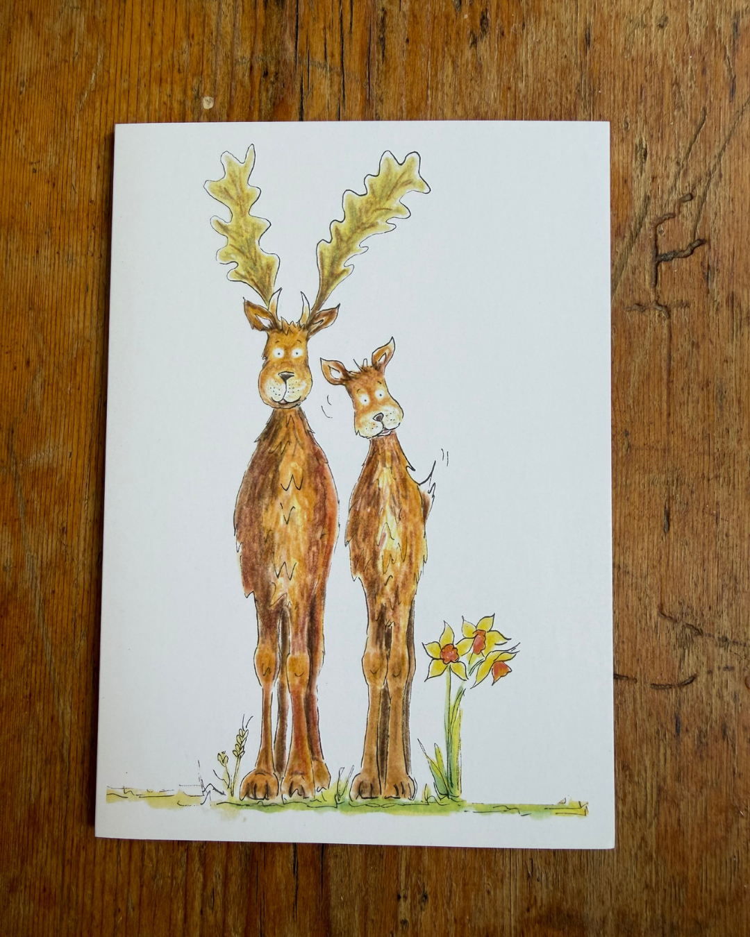 My Special Place Farm Yard A6 Greeting Card Collection - Set of 4