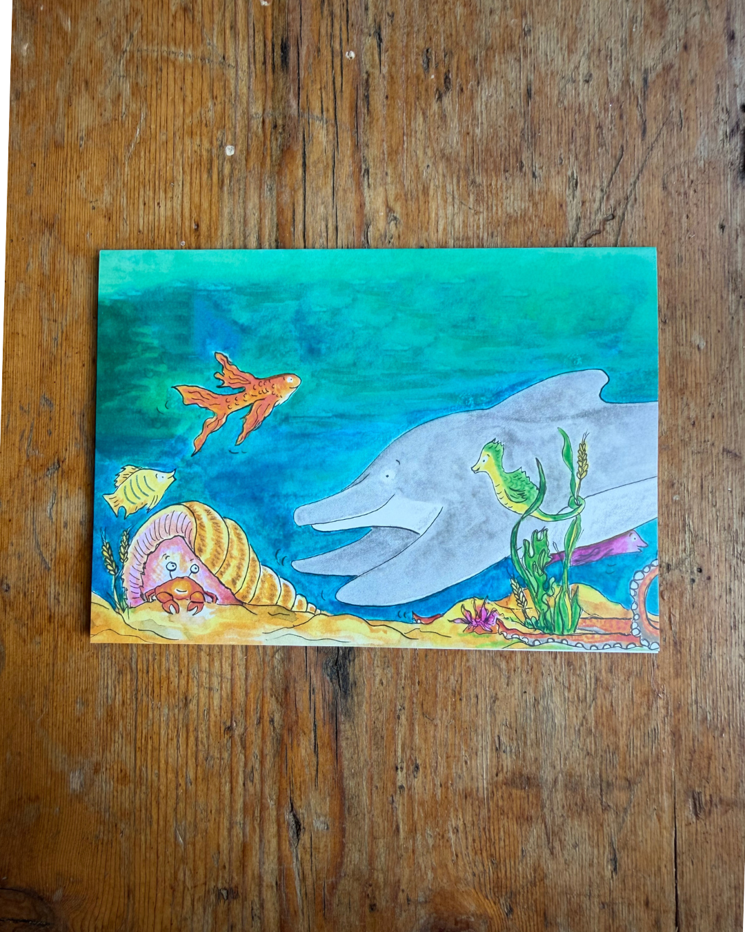 My Special Place Underwater A6 Greeting Card Collection - Set of 4