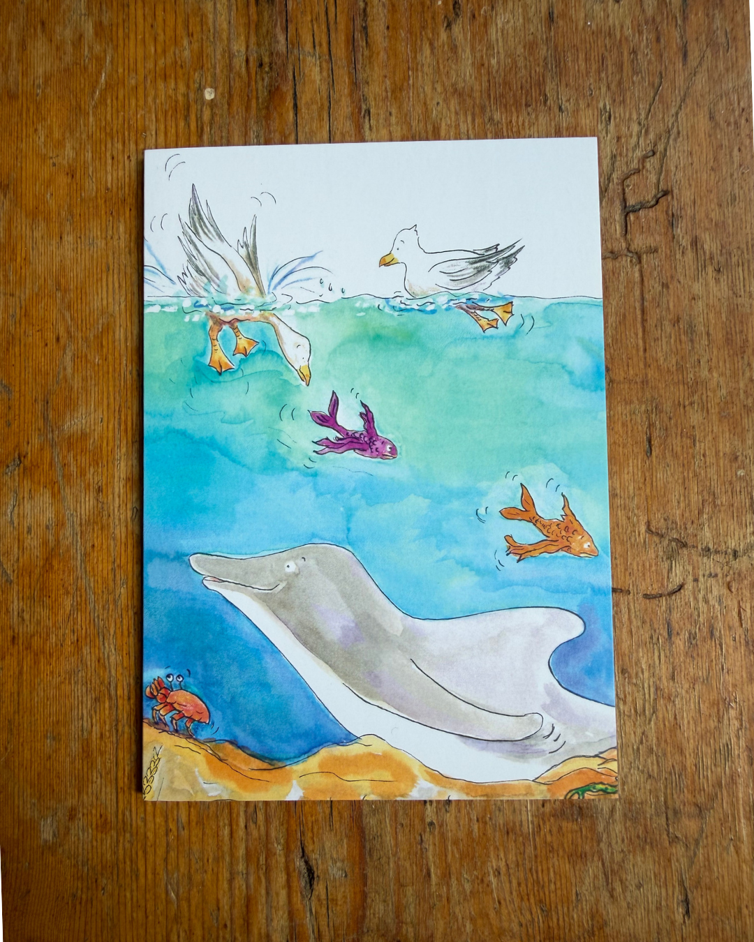 My Special Place Underwater A6 Greeting Card Collection - Set of 4