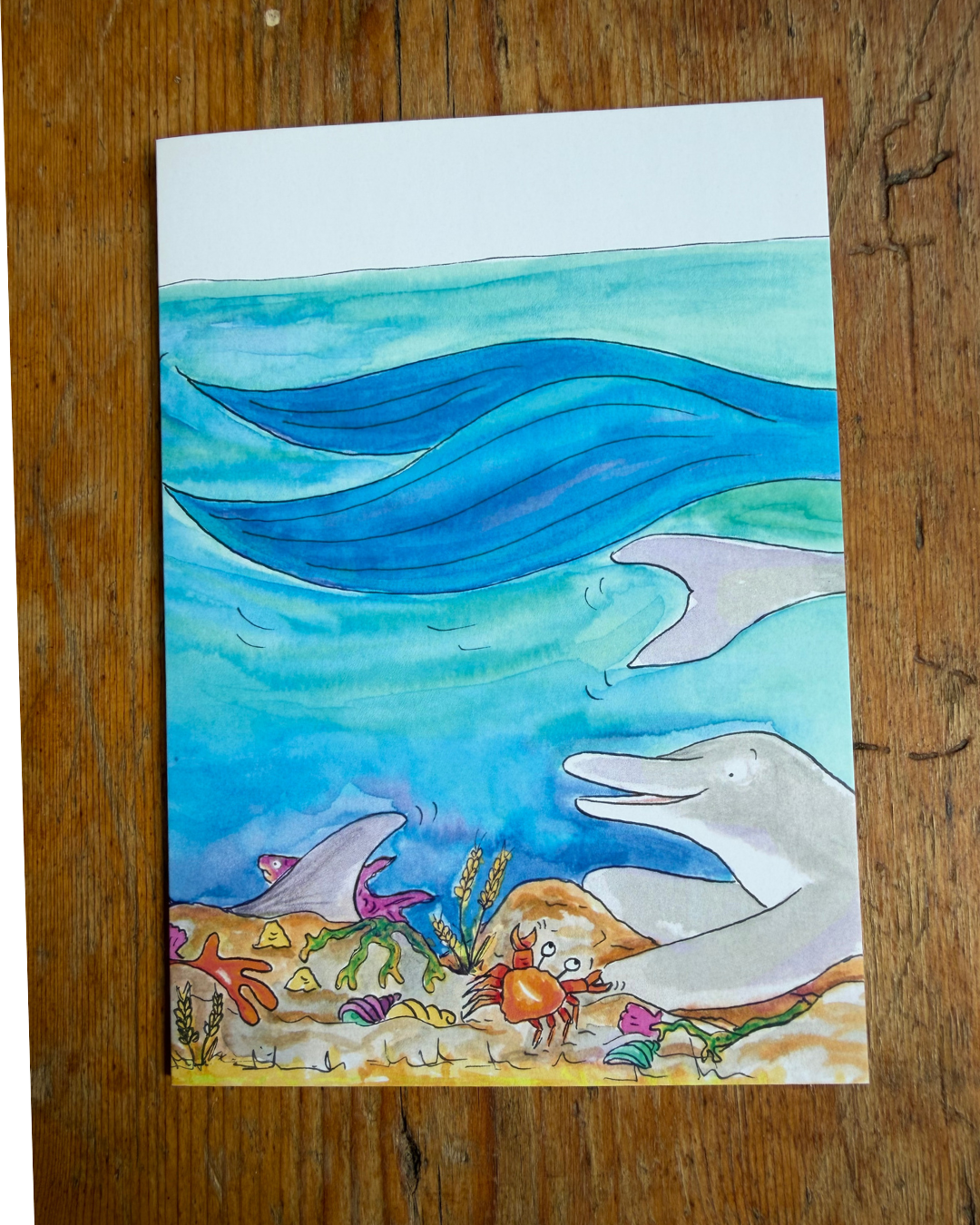 My Special Place Underwater A6 Greeting Card Collection - Set of 4