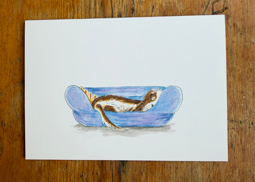 Dog In Beds A6 Greeting Card Collection - Set of 4