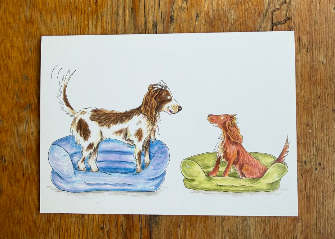 Dog In Beds A6 Greeting Card Collection - Set of 4