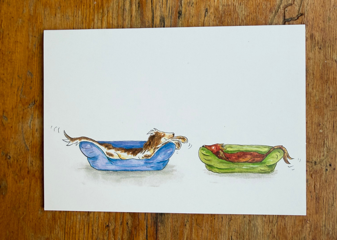 Dog In Beds A6 Greeting Card Collection - Set of 4