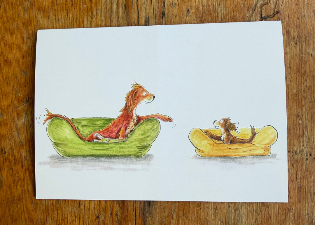 Dog In Beds A6 Greeting Card Collection - Set of 4