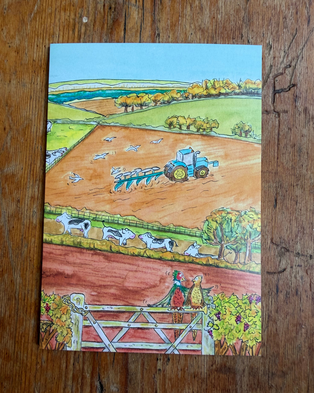 My Special Place Farm Yard A6 Greeting Card Collection - Set of 4