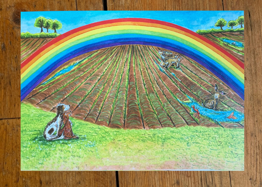 Rainbow Farm Scene - A5 Greeting Card