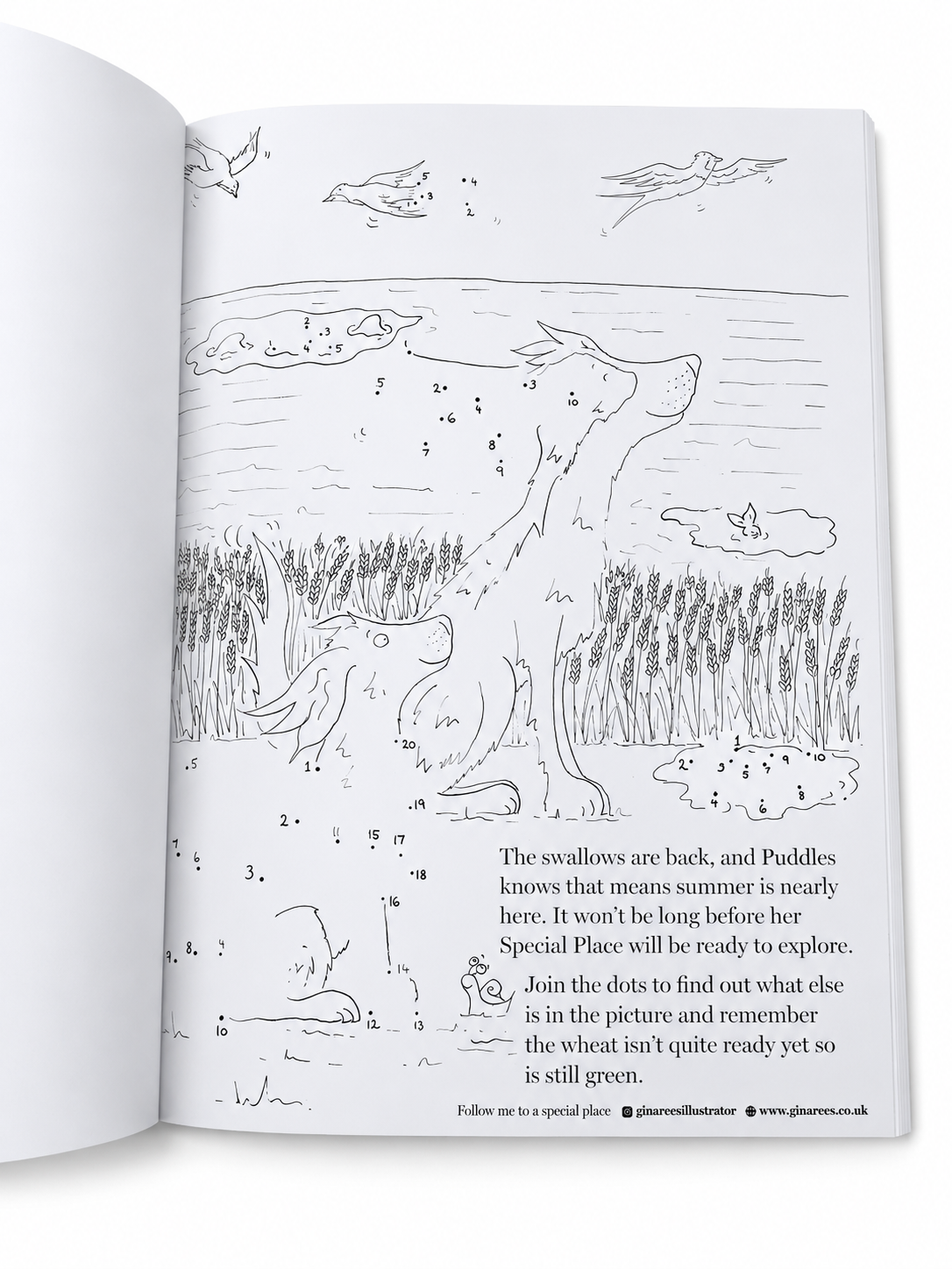 My Special Place – Children's Colouring & Drawing Book with Sticker Sheet
