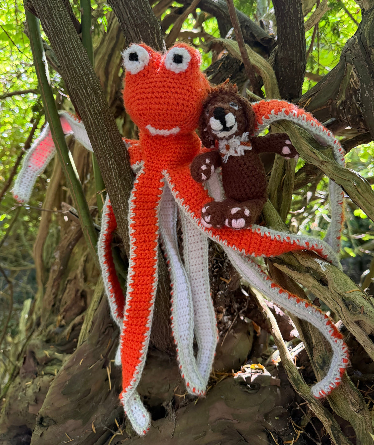 Holly and the Little Lost Octopus