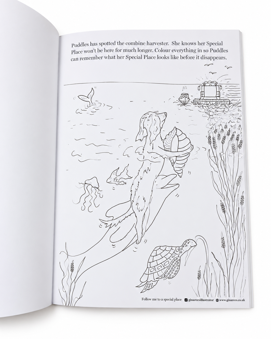 My Special Place – Children's Colouring & Drawing Book with Sticker Sheet