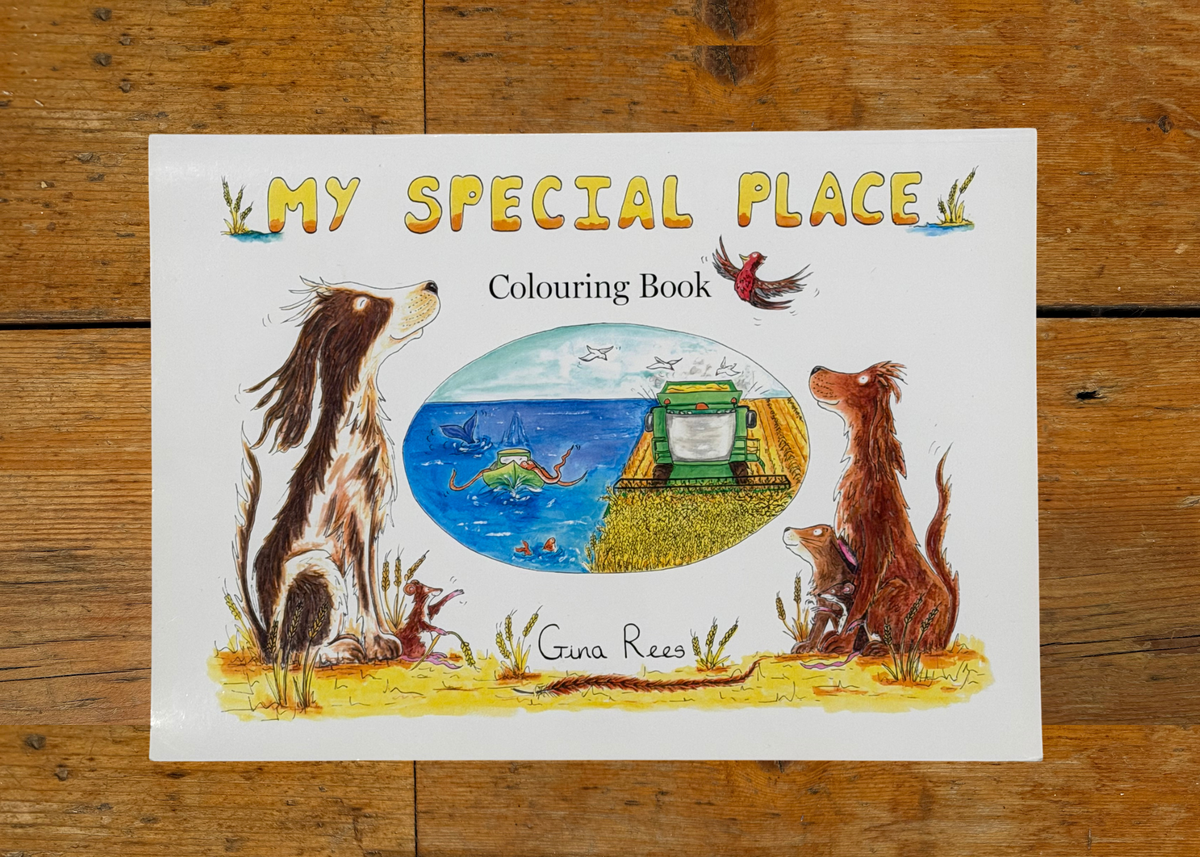 My Special Place Landscape Colouring Book