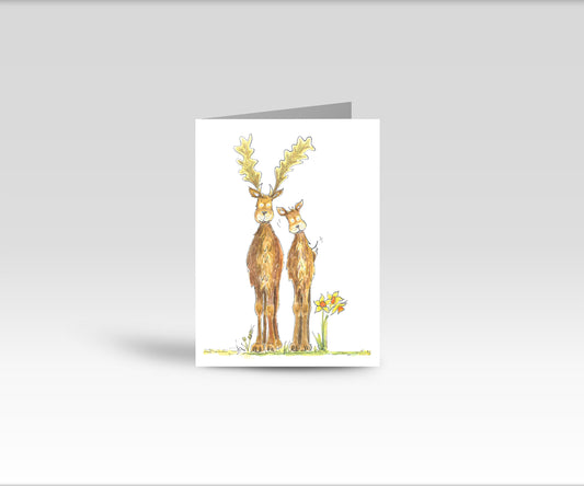 A5 CARD of Deer in Spring - artwork taken from 'My Special Place'