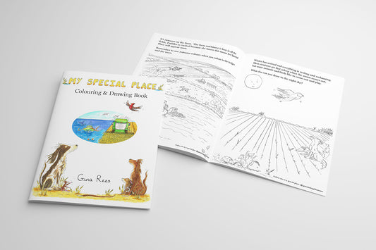 COLOURING & DRAWING BOOK ~ My Special Place
